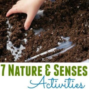 7 Nature and Senses Activities - Ideas for LDS Primary Music Leaders for Singing Time! Easy to adapt to any song.