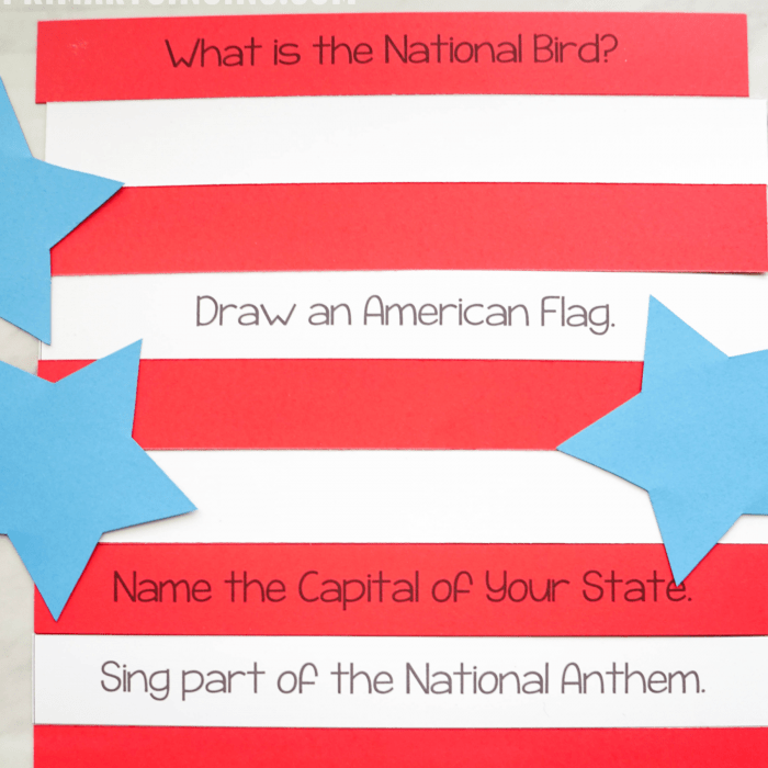 4th of July Singing Time Idea Sing or Dare Game Stars & Stripes