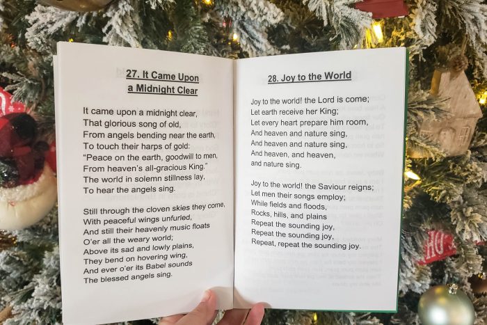 Snowball Fight No-Prep Singing Time Game! Easy ideas for Music Leaders Christmas Songbook LARGE1 5