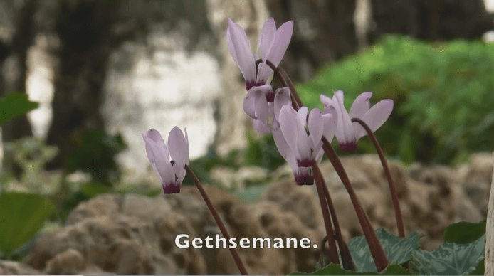 Gethsemane Sing-Along video by the LDS Church to teach Gethsemane in Singing Time