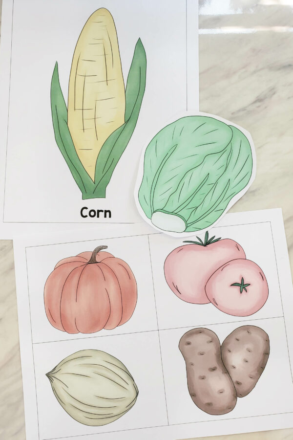 Garden Patch Song Review Game fun singing time idea for LDS Primary music leaders! Plant this assortment of veggies and let the kids "pick" the produce! Then, play a hot potato game and share these cute vegetable puns! Includes printable song helps.