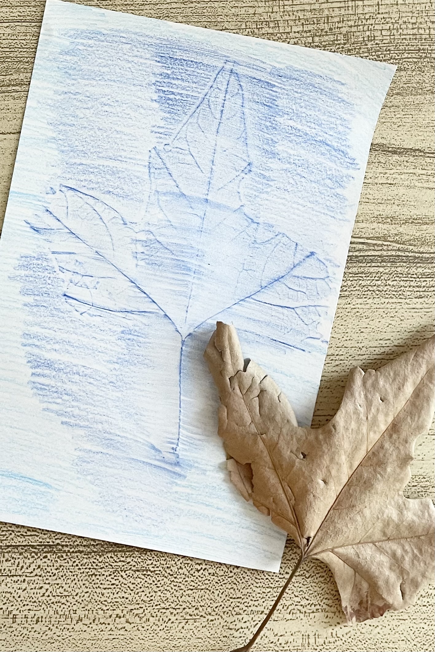 Testimony Hymn Nature Tracings - Use this cool object lesson about sharing our testimonies with others by tracing objects from nature with additional song helps for LDS Primary Music Leaders.