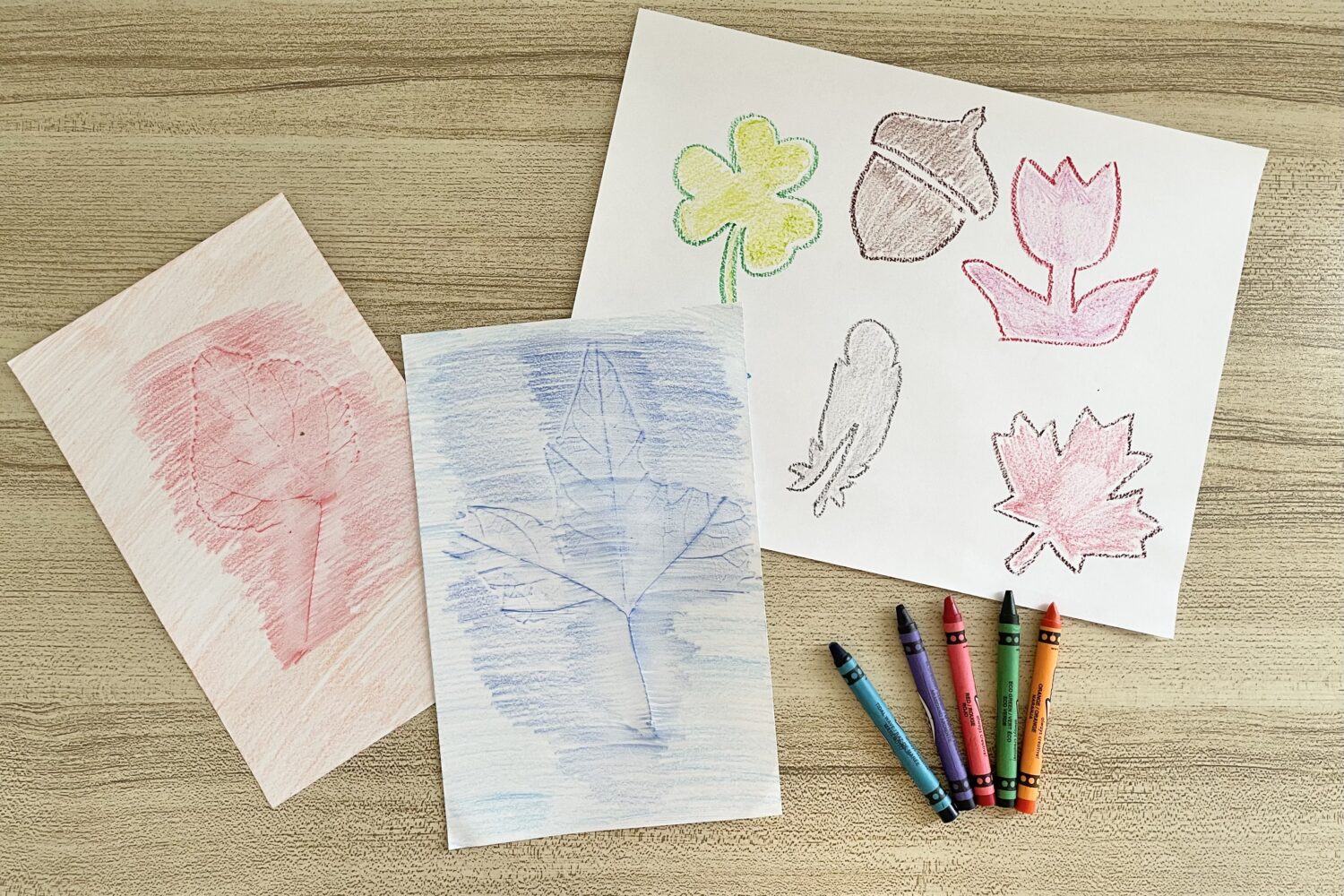 Testimony Hymn Nature Tracings - Use this cool object lesson about sharing our testimonies with others by tracing objects from nature with additional song helps for LDS Primary Music Leaders.