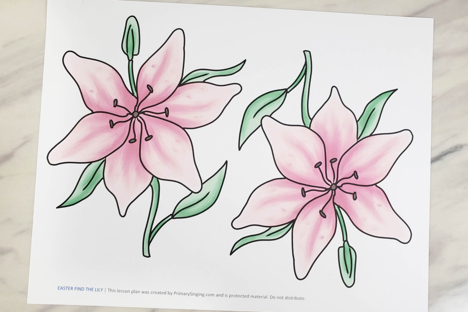 Easter Find the Lily along Jesus' Path during His final week in this seek and find adventure singing time lesson plan! It's a great way to review your Easter song of choice and share the important story of Christ's final events in a meaningful way. Lesson plan for LDS Primary music leaders and families.