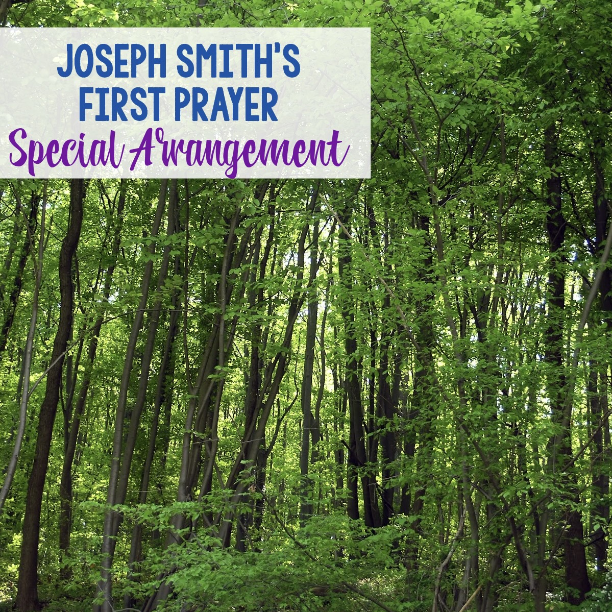 Joseph Smith's First Prayer Special Arrangement - Invite the Spirit by inviting a guest to perform a special musical number for your primary children as you introduce this D&C song.